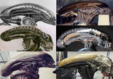 Xenomorph heads CLEAR ANGLE STUDIOS HERO HEAD ACTION AD SOFT HEAD 00000012000 Alien Resurrectio