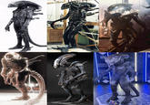 Xenomorph evolution  B