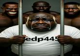 edp445 Grok