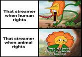 That streamer when human rights That streamer when animal rights Guys, it's just a bit of electricity, no big deal.