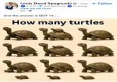 Louis David Spagnuolo 3rd+ + Follow C.E.O. Entrepreneur View my services ° Investig... 2d. And the answer is NOT 14...... How many turtles