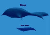 Bloop Blue Whale