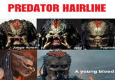 PREDATOR HAIRLINE Jungle Hunter Wolf Fugitive A young blood