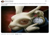 A "tweet":https://knowyourmeme.com/memes/sites/twitter-x using the "White Rabbit Pointing at a Clock" artwork to joke the image being applicable to everything.