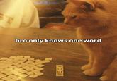 T bro only knows one word MEOW