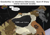 Godzilla vs Mothra (Showa), but if they were actual scale: 20 THRA This is it? This is your king of the monsters?! 135 METERS 50 METERS