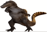 Spino dancing