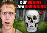 The thumbnail for a "Joe Bartolozzi":https://knowyourmeme.com/memes/people/joe-bartolozzi "YouTube":https://knowyourmeme.com/memes/sites/YouTube video, showing the YouTuber next to a human skull with an arrow pointing at it and a caption reading, "Our brains are shrinking." The thumbnail became a popular "reaction image":https://knowyourmeme.com/memes/reaction-images on "Twitter / X":https://knowyourmeme.com/memes/sites/twitter-x in 2025.