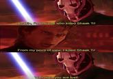 9980 Anakin, I'm the one who killed Shaak Ti! From my point of view, I killed Shaak Ti! Well then you are lost!