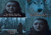 Nymeria, it's me Arya. Come with me. The North remembers, stupid. You threw a rock at me in season one... Jenildeen