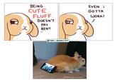BEING CUTE FLUFF DOESN'T PAY RENT @THAT_DOODLE GUY EVEN i GOTTA WORK! H FB: @FlemishGiant Rabbit