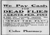We Pay Cash -FOR- DEAD FLIES 5 CENTS PER PINT Join the crusade against the deadly house fly. Everybody "S WAT THE FLY" Eight Pieces of "POISON FLY PAPER," in packages, for FIVE CENTS. Begin now and sell your DEAD FLIES AT FIVE CENTS A PINT at Coles Pharmacy