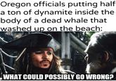 Oregon officials putting half a ton of dynamite inside the body of a dead whale that washed up on the beach: u/Khantlerpartesar WHAT COULD POSSIBLY GO WRONG?