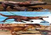 Jurassic world deinonychus evolution  4 JURASSIC WORLD EVOLUTION3 JURASSIC WORLD JURAMIC WORLD THE GAME