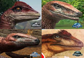 Jurassic world deinonychus  JURASSIC WORLD EVOLUTION JURASSIC WORLD THE GAME JURASSIC WORLD JURASSIC WORLD EVOLUTION 3