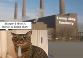 A meme of a cat leaving the Long Day Factory. He does not want to have a long day.