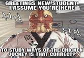 GREETINGS NEW STUDENT, I ASSUME YOU'RE HERE IN rgkrTkena SIN TO STUDY WAYS OF THE CHICKEN JOCKEY IS THAT CORRECT?