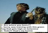 C: Bro where you been?? L: Sorry, was training with this green frog that gets high on ketamine C: Yoda?? That's my homie