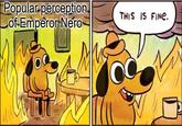 Popular perception Cof-Emperor Nero THIS IS FINE. T