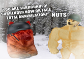 YOU ARE SURROUNDED! SURRENDER NOW OR FACE TOTAL ANNIHILATION! NUTS
