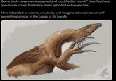 Some birds have claws adapted and modified to "comb" their feathers (pectinate claw), this helps them get rid of ectoparasites. Here I decided to use my creativity and imagine a therizinosaur with something similar in the claws of its hands