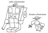 male cybertronian female cybertronian