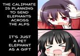 THE CALIPHATE IS PLANNING TO SEND ELEPHANTS ACROSS THE ALPS IT'S JUST A PET ELEPHANT AS A GIFT