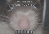 MY HEEBIES ARE F------ JEEBIED