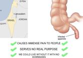 ea SYRIA □Jerusalem JORDAN ISRAEL EGYPT Infected appendix CAUSES IMMENSE PAIN TO PEOPLE SERVES NO REAL PURPOSE WE COULD LIVE WITHOUT IT WITH NO DOWNSIDES ་、、