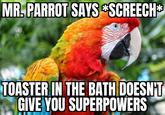 MR. PARROT SAYS *SCREECH* TOASTER IN THE BATH DOESN'T GIVE YOU SUPERPOWERS