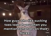 How guys who like sucking toes look at you when you mention tomatoes on thei❤ burger Likes