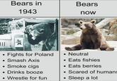 Bears in 1943 Bears now 4336 Fights for Poland • Smash Axis Smoke cigs Drinks booze • Wrestle for fun • Neutral • Eats fishies Eats berries Scared of humans Sleep a lot