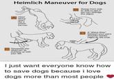 Heimlich Maneuver for Dogs Sweep from side to side to see if you can dislodge the object Hend facing down like a wheel barrow Compress the abdomen by pushing up with your fist A sharp blow between your pet's shoulder blades might do the trick. I just want everyone know how to save dogs because i love dogs more than most people