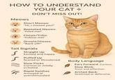 HOW TO UNDERSTAND Meows 8 YOUR CAT DON'T MISS OUT! Short Meows: "Hi, I missed you!" Repeated Meows: "Feed me!" Chirps/Trills: "Follow me!" Growls/Hisses: "Back off!" Tail Signals Straight Up Excited and happy. Puffed Up Scared or threatened. Slow Flicks Curious or mildly irritated. Rapid Swishes Annoyed or A Body Language Ears Forward: Curious, Slow Blink: Trust and affection. Arched Back: Stretched or defensive. overstimulated.