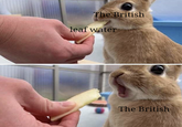 The British leaf water The British