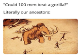 "Could 100 men beat a gorilla?" Literally our ancestors: