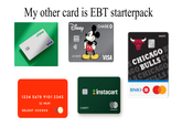 My other card is EBT starterpack chime DEBIT VISA Disney CHASE O 1234 5678 9101 2345 08/20 DELIGHT 000000 LEE WHITE VISA CHICAGO B GO BULLS CT SCHICAGO *Instacart