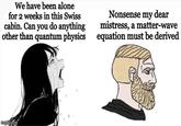 We have been alone for 2 weeks in this Swiss cabin. Can you do anything other than quantum physics Nonsense my dear mistress, a matter-wave equation must be derived imgflip.com