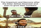 The Imperium and Necrons after the Eldar defeat Slaanesh and start to grow their numbers The Imperium THEY F--- NOW? The Necrons THEY F--- NOW