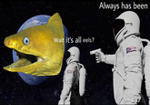 Wait it's all eels? Always has been