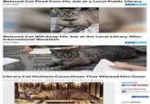 Beloved Cat Fired from His Job at a Local Public Library By RICKI HARRIS Jun 28, 2016, 5:28 PM ET f Share Tweet ports ar an Browser has been the mascot for the White Settlement Public Library for six years Beloved Cat Will Keep His Job at the Local Library After International Backlash By RICKI HARRIS Jul 5, 2016, 12:31 PM ET f Share Tweet Browser the cat sits among a group of children being read to in the city's public library, June 30, 2016, in White Settlement, Texas. John L. Mone/AP Photo Library Cat Outlasts Councilman That Wanted Him Gone by Cameron Fairchild December 14, 2016 at 1:39 pm Filed Under: Browser, Cat, library, Mayor Ron White, Texas, White Settlement FOLLOW US OUR NEWSLETTER Sign up and get our latest I delivered right to your inb Email address Subscribe Now MOST VIEWED