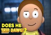 An "exploited":https://knowyourmeme.com/memes/exploitables version of the "Don't Even Trip Dawg!" "meme":https://knowyourmeme.com/memes/memes, showing Morty Smith from "_Rick and Morty_":https://knowyourmeme.com/memes/subcultures/rick-and-morty.