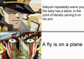 Kakyoin repeatedly warns you the baby has a stand, to the point of literally carving it on his arm A fly is on a plane