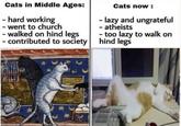 Cats in Middle Ages: - hard working - went to church - walked on hind legs - contributed to society Cats now: - lazy and ungrateful - atheists - too lazy to walk on hind legs