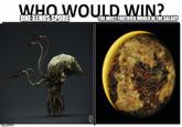 imgflip.com WHO WOULD WIN? ONE XENOS SPORE THE MOST FORTIFIED WORLD IN THE GALAXY