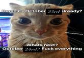 Damn its October 23rd already? @literallymecats Whats next? October 24rd? F--- everything