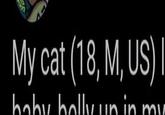 P My cat (18, M, US) I baby holly up in my