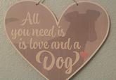 Spot the mistake Au you need is is love and a Dog