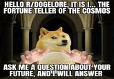 HELLO R/DOGELORE, IT IS I... THE FORTUNE TELLER OF THE COSMOS ASK ME A QUESTION ABOUT YOUR FUTURE, AND I WILL ANSWER