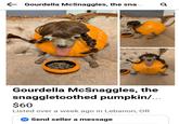 Gourdella McSnaggles, the sna... 0 Gourdella McSnaggles, the snaggletoothed pumpkin/... $60 Listed over a week ago in Lebanon, OR Send seller a message
